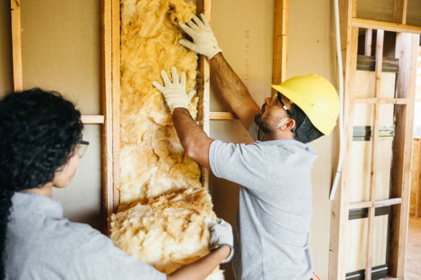 Best Insulation Contractors for Homes  in Montgomery, PA