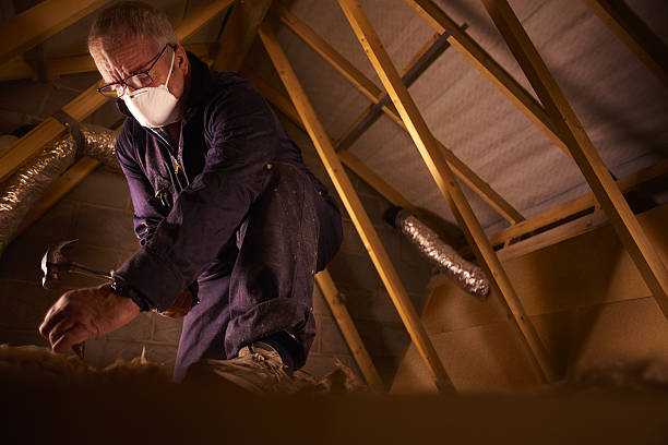 Best Cellulose Insulation  in Montgomery, PA